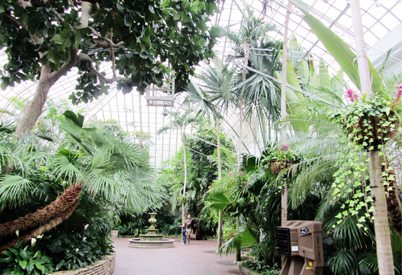 fp-conservatory franklin park conservatory
