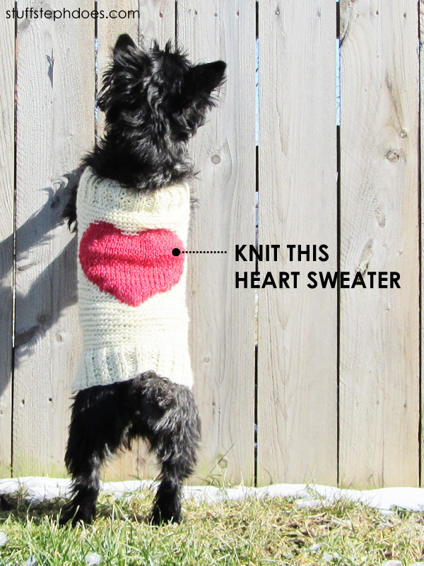 knit valentine dog sweater :: stuff steph does